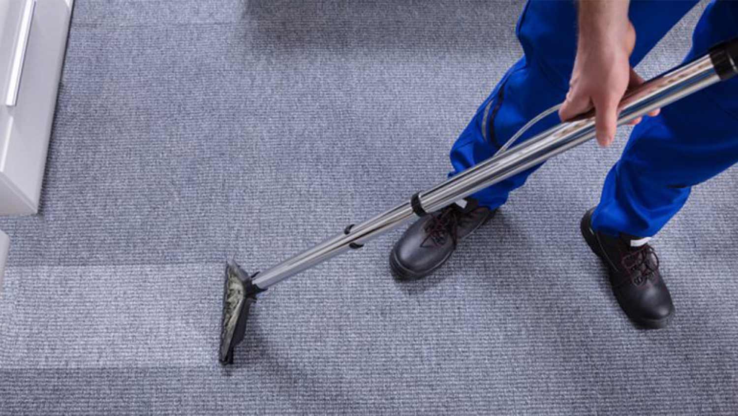 Carpet Cleaning Auckland