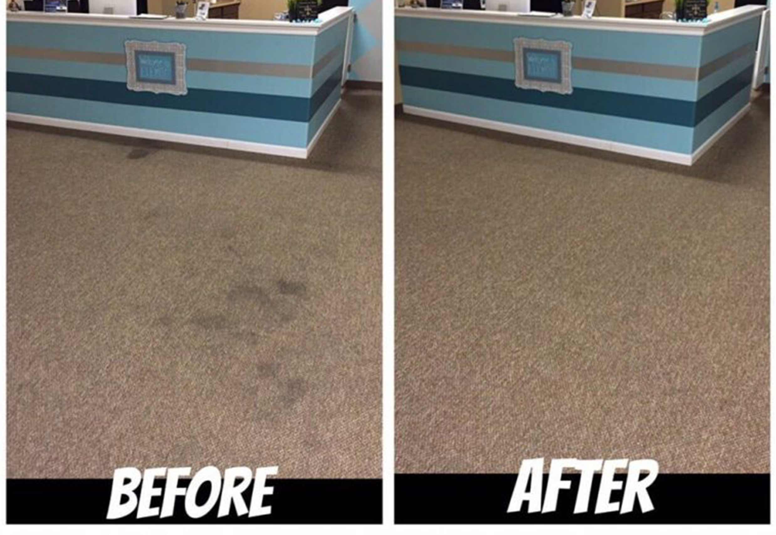 Carpet Cleaning Auckland