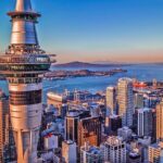 The “Dirty” Truth: Every Auckland Business Office Requires Professional Cleaning Services
